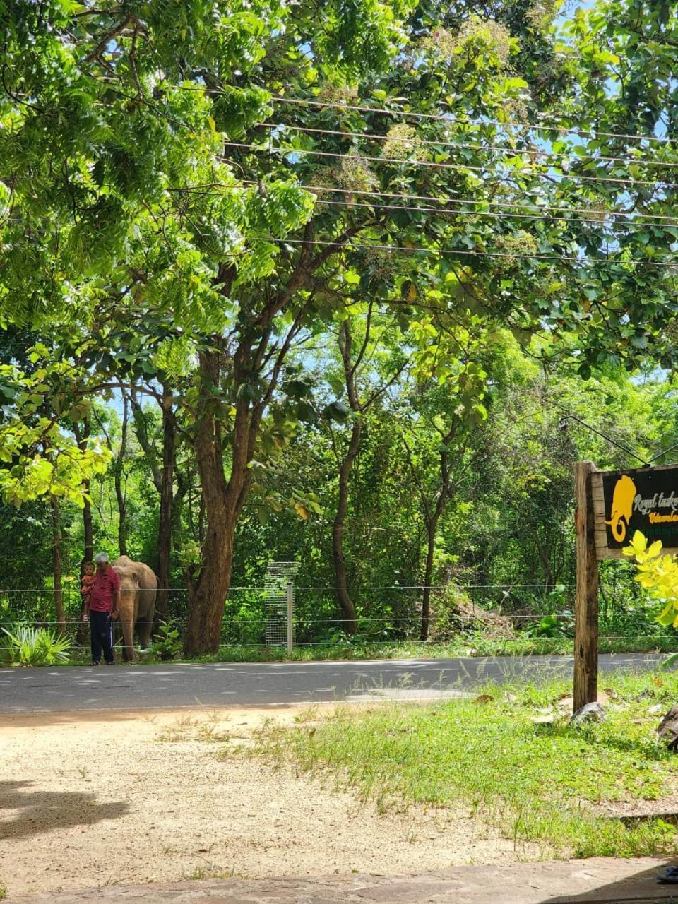 Royal Tusker Hotel ウダワラウェ エクステリア 写真